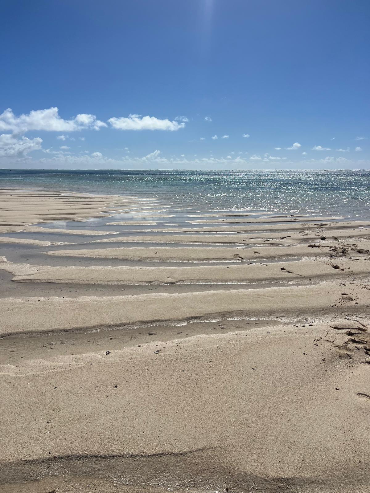 Photo 2 de l'excursion