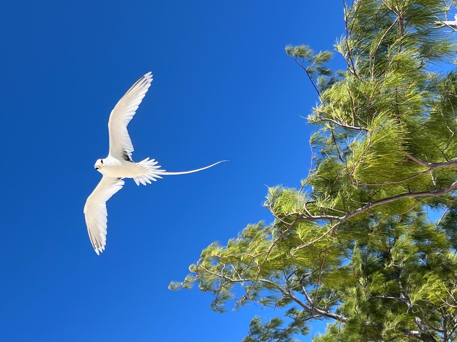 Informations pratiques