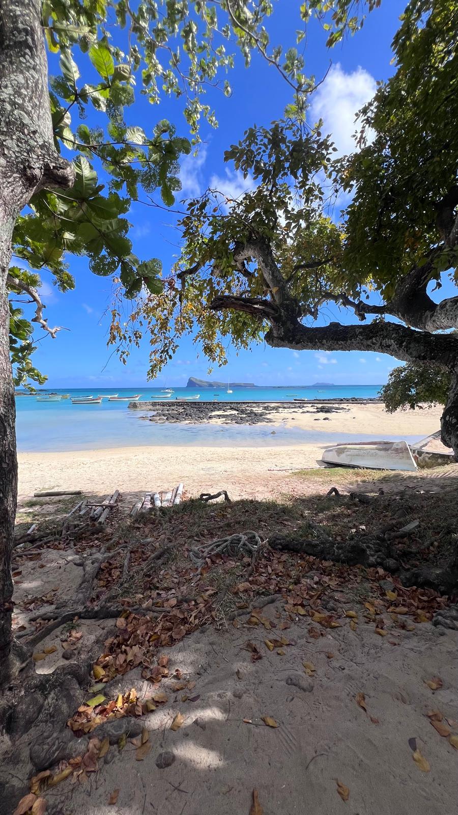 Photo 6 de l'excursion