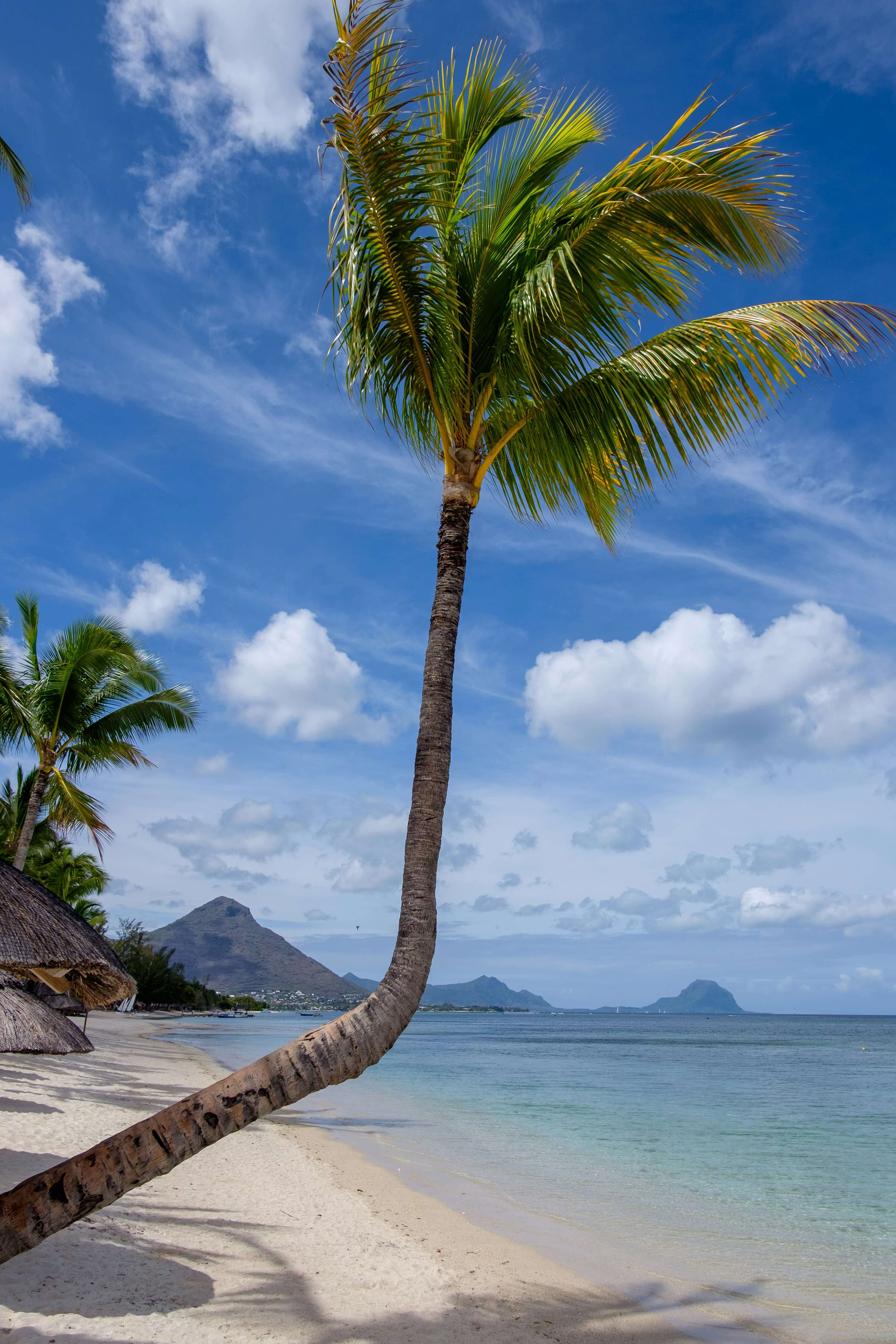 Petite pause à l'ombre