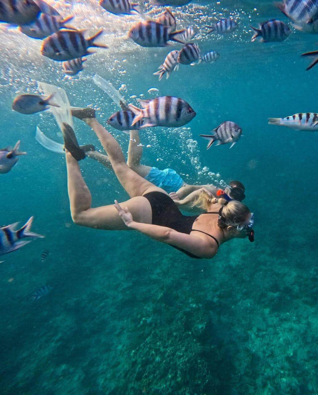 L'Île aux Cerfs et ses merveilles