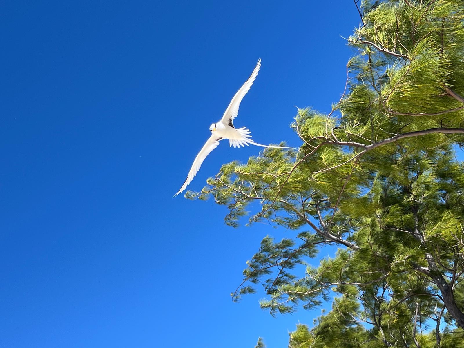 Photo 2 de l'excursion