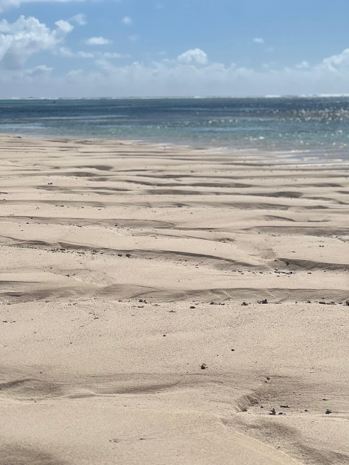 Photo 4 de l'excursion