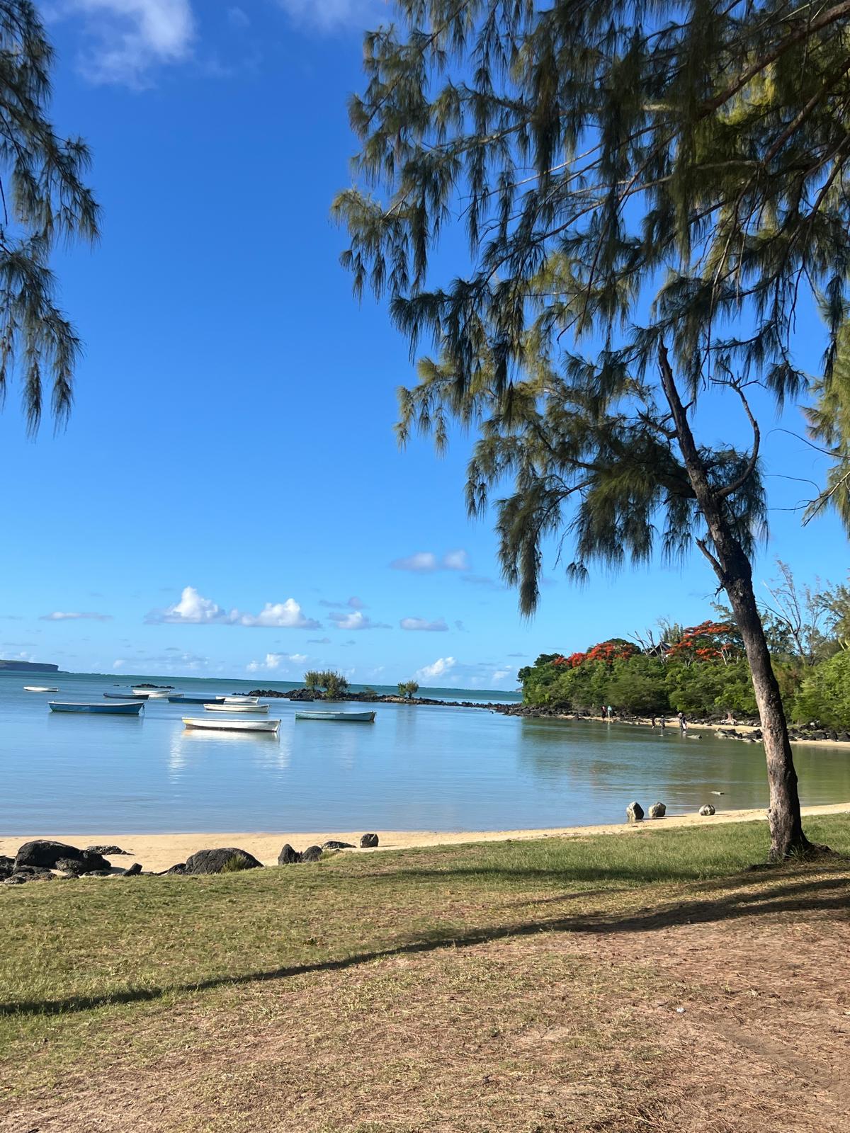 Photo 6 de l'excursion