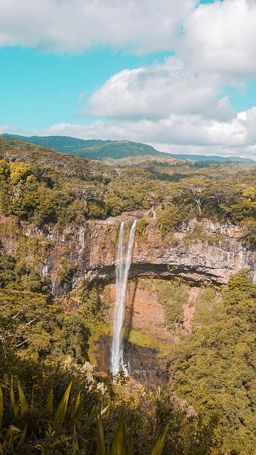 Photo 6 de l'excursion