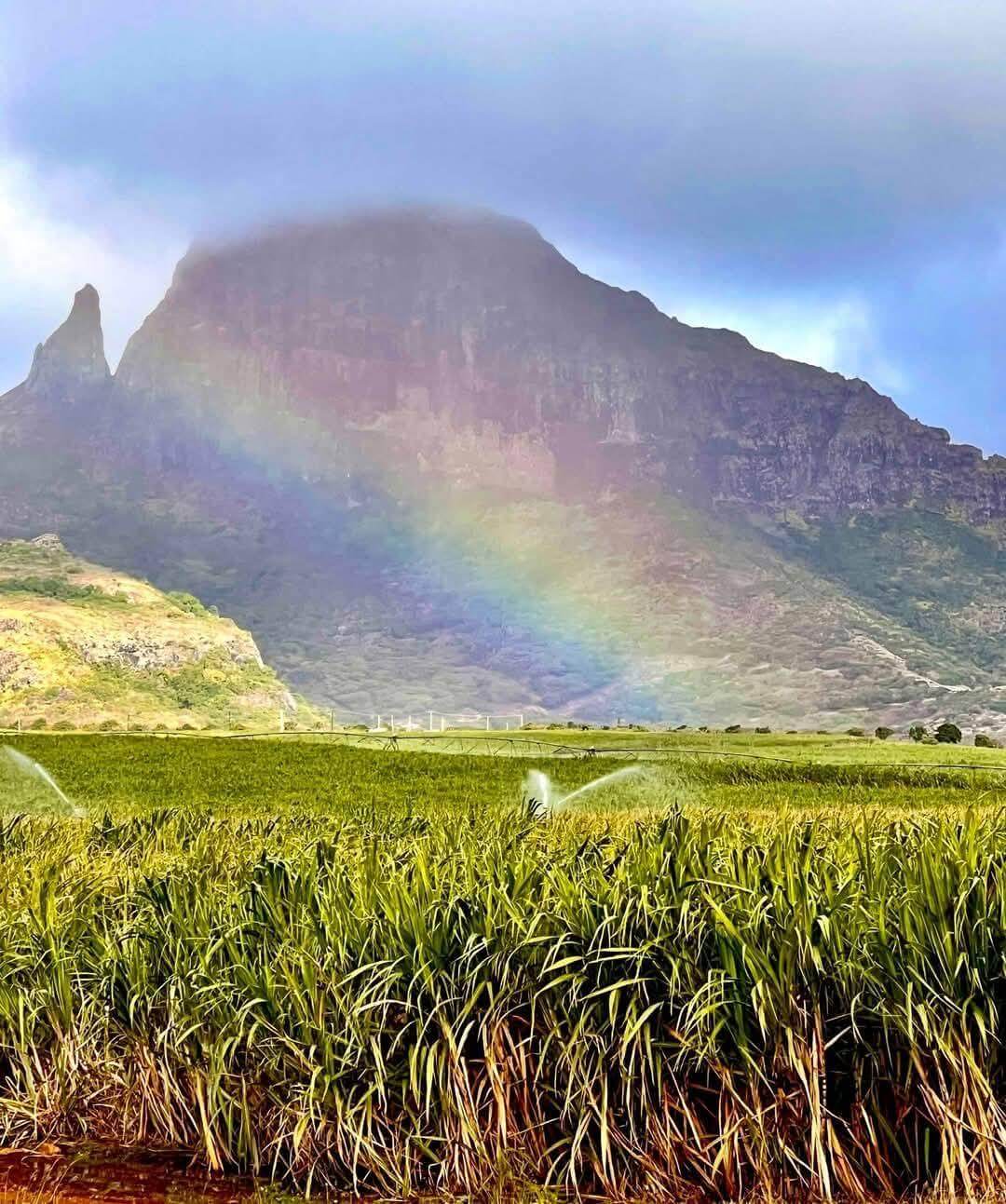 Profitez de la vue...